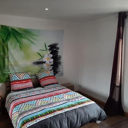 T3 Hyper-Centre Au Calme Tout Equipe Parking Prive Apartment Castres  Exterior foto