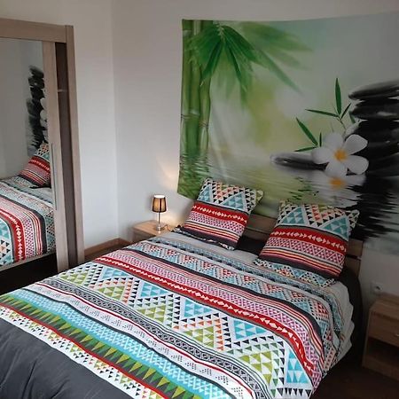 T3 Hyper-Centre Au Calme Tout Equipe Parking Prive Apartment Castres  Exterior foto